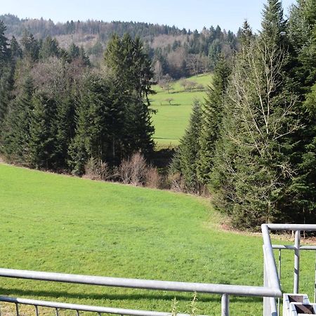 Ferienwohnung Im Dettenbachtal ヴァルトキルヒ エクステリア 写真