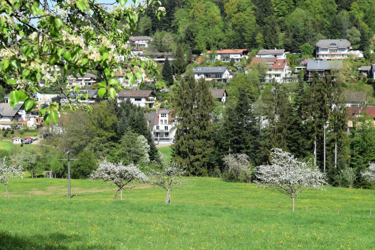 Ferienwohnung Im Dettenbachtal ヴァルトキルヒ エクステリア 写真