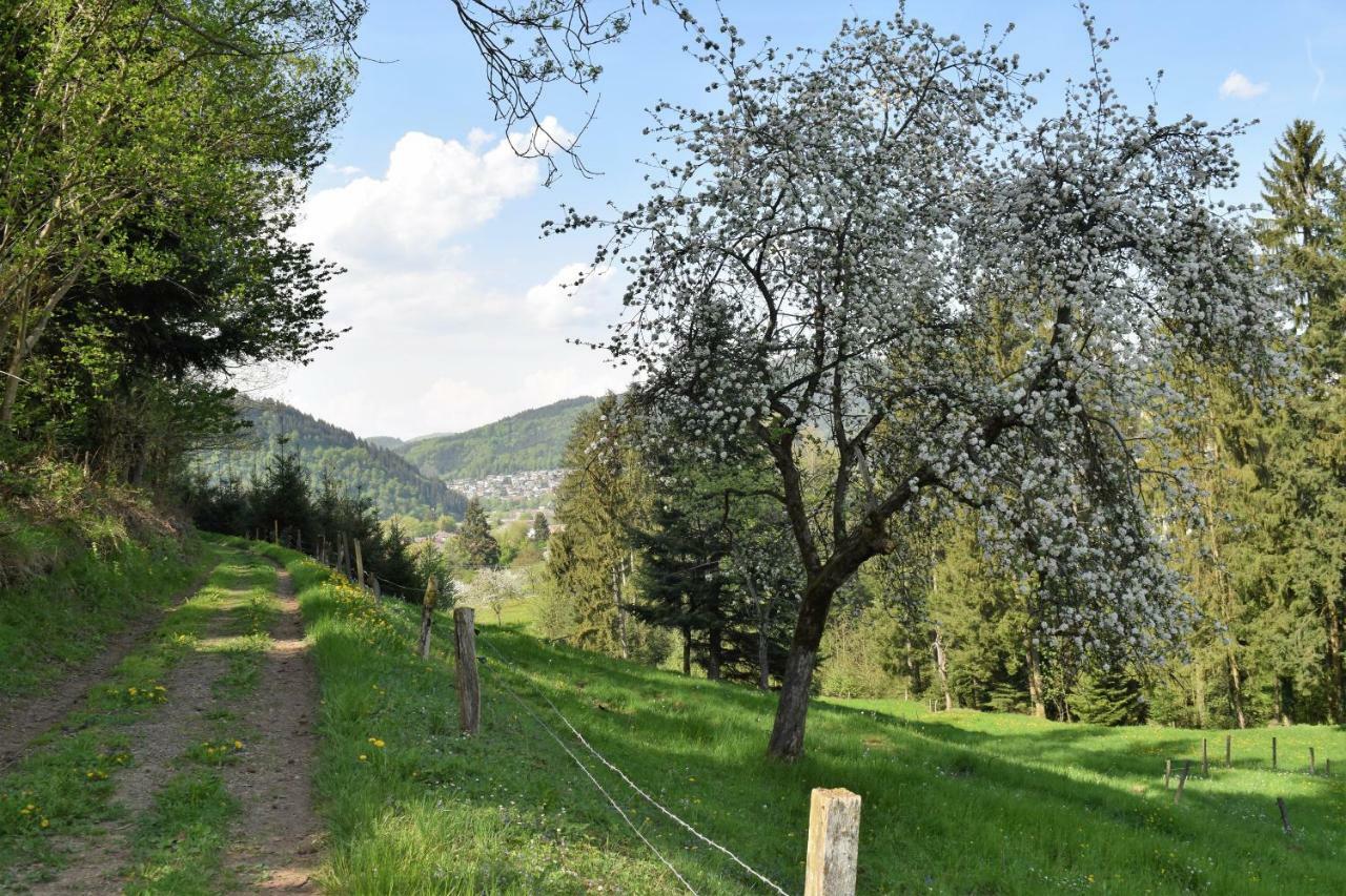 Ferienwohnung Im Dettenbachtal ヴァルトキルヒ エクステリア 写真