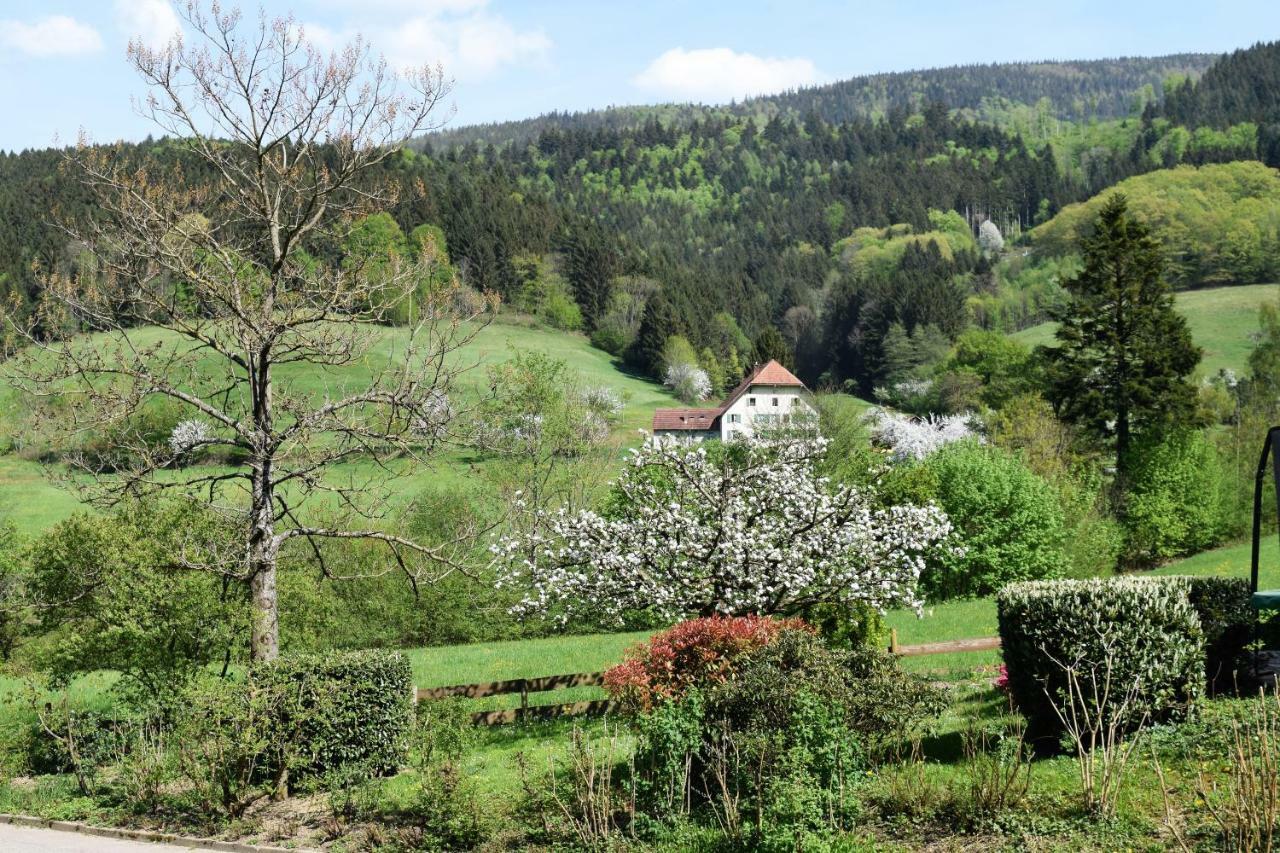 Ferienwohnung Im Dettenbachtal ヴァルトキルヒ エクステリア 写真